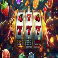 1123win